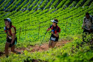 BIB: 
                            <button type="button" onclick="openModal(19162889)" class="btn btn-primary btn-sm float-right btn-popup" data-toggle="modal" data-target=".modal-high-quality">
                        <i class="fas fa-shopping-cart"></i> Add to Cart
                    </button>
                                            <button type="button" onclick="isThisMe(19162889, true)" class="btn btn-success btn-sm float-right btn-popup btn-isme hidden" data-toggle="tooltip" data-placement="bottom" title="นี่คือรูปของคุณใช่ไหม คลิกที่นี่เพื่อเอาเข้าอัลบั้ม">
                        <i class="fas fa-plus"></i> Add to album
                    </button>
                    <button type="button" onclick="isThisMe(19162889, false)" class="btn btn-warning btn-sm float-right btn-popup btn-isnotme hidden">
                        <i class="fas fa-ban"></i> Remove from album
                    </button>